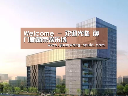 案例展示四