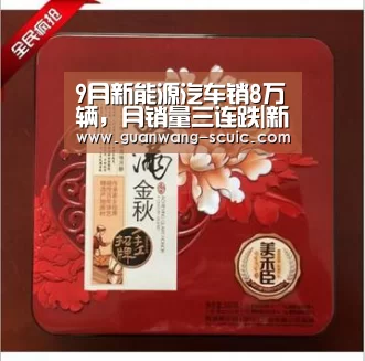 9月新能源汽车销8万辆,月销量三连跌|新葡京娱乐官网(图3) 新葡京娱乐官网