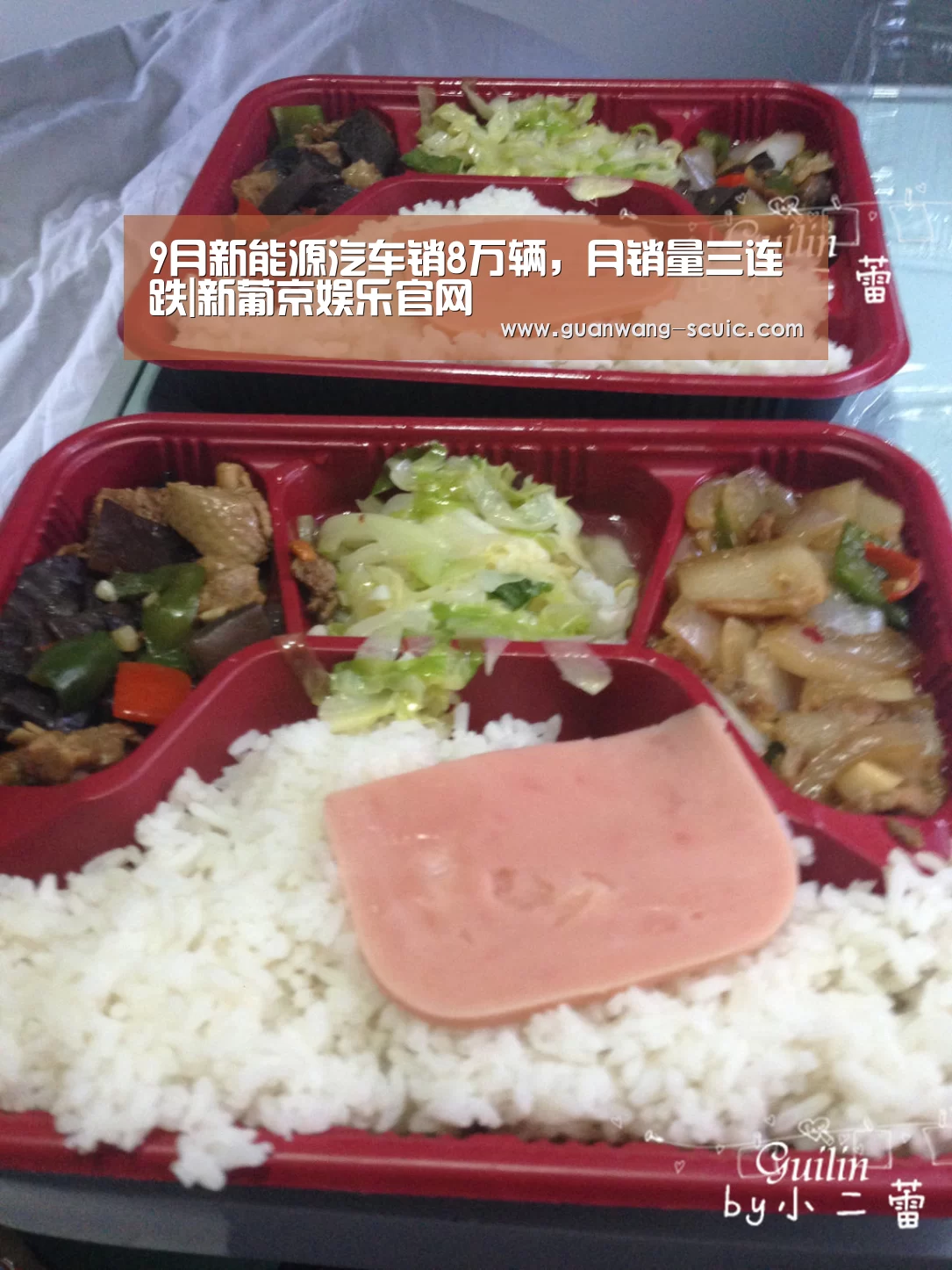 9月新能源汽车销8万辆,月销量三连跌|新葡京娱乐官网(图2) 新葡京娱乐官网