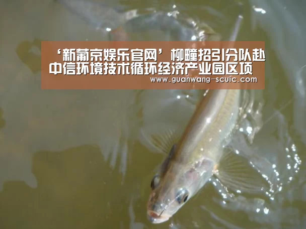 新葡京娱乐官网