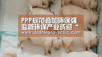 新葡京娱乐官网