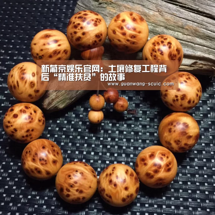 新葡京娱乐官网