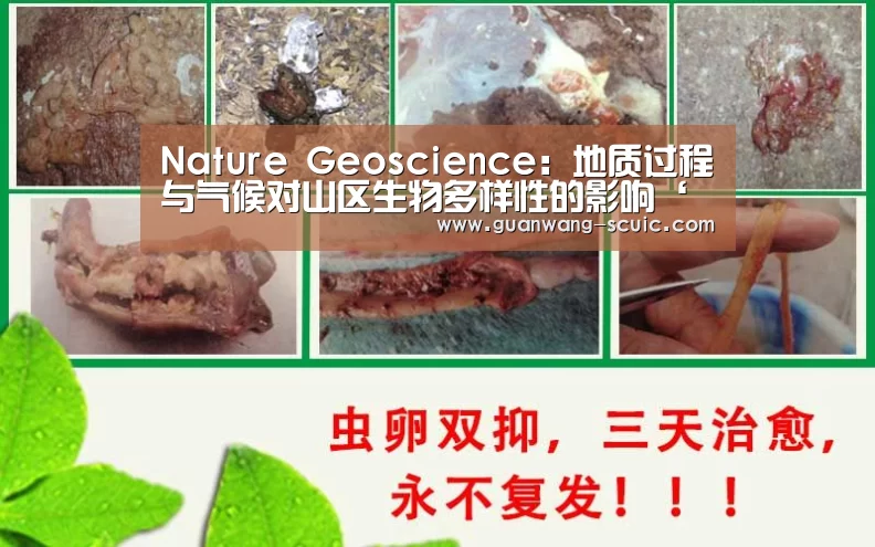 Nature Geoscience:地质过程与气候对山区生物多样性的影响‘新葡京娱乐官网’(图1) 新葡京娱乐官网
